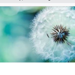 Meet your Posher, Amrit pal